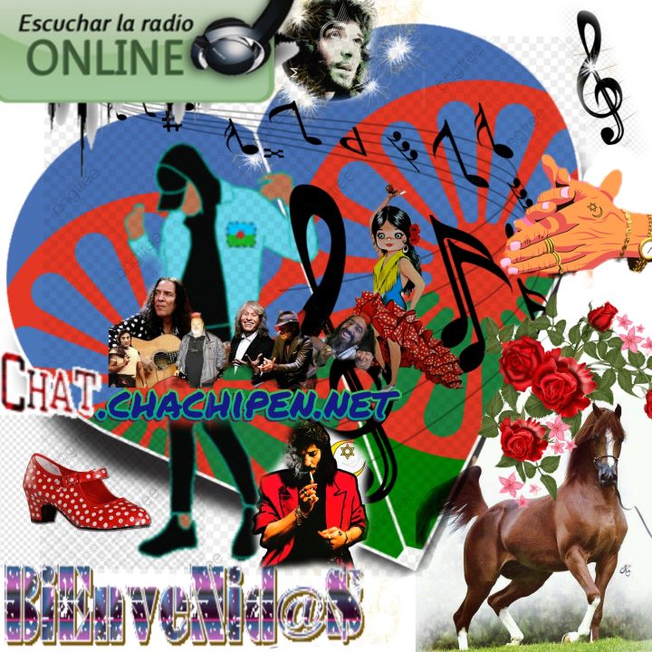 imagenChatGitano